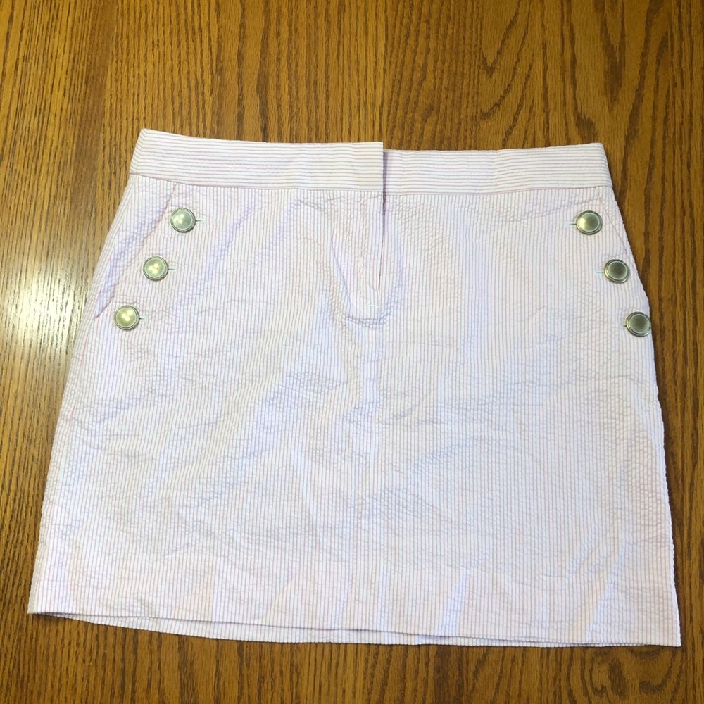 J.Crew skirt
